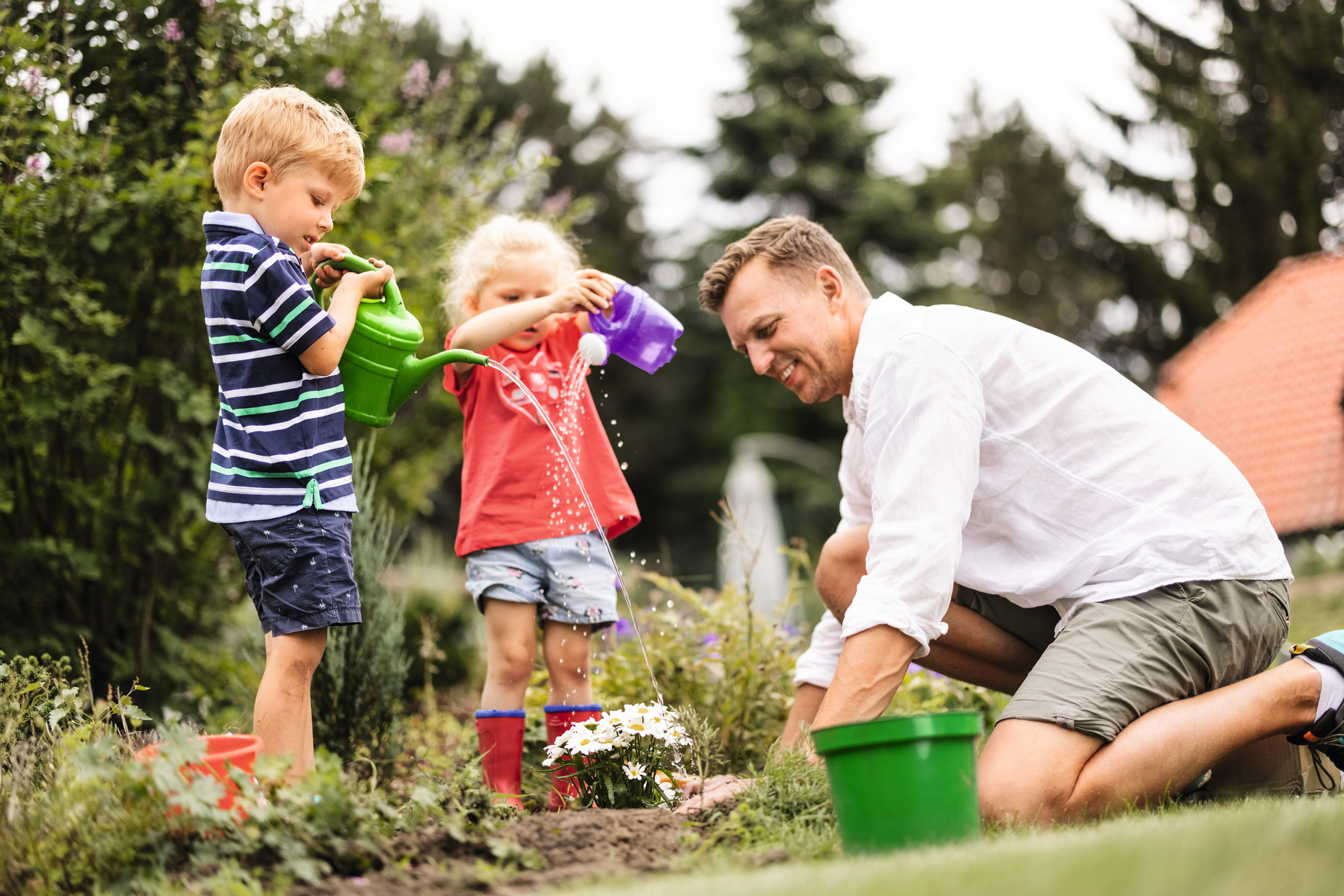 Vater und zwei Kinder gießen gemeinsam Blumen im Garten